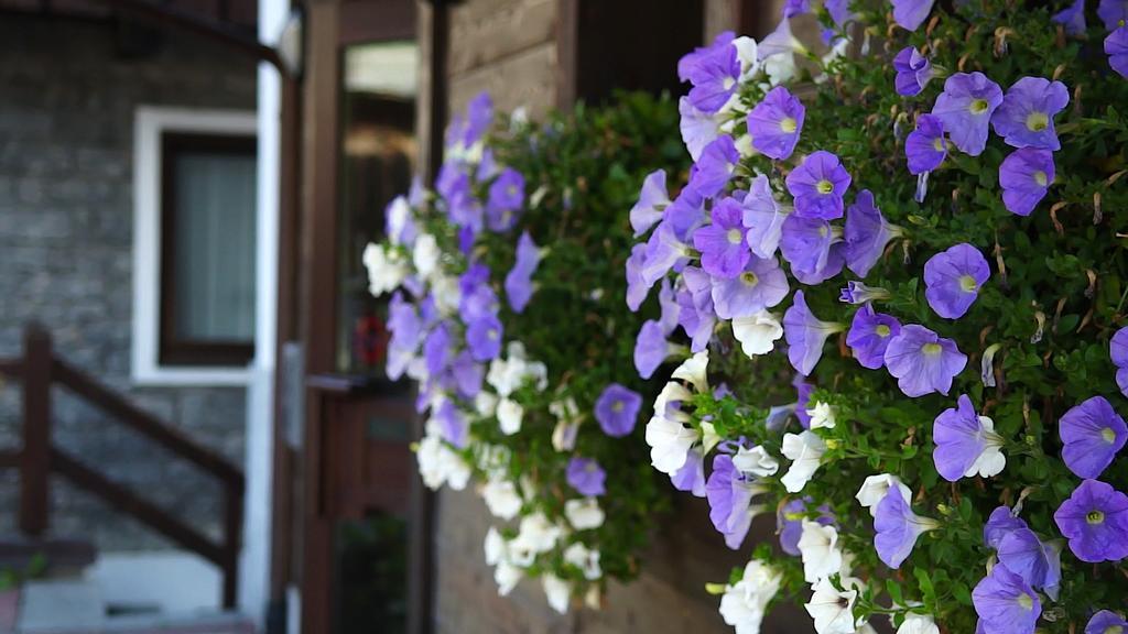 Appartamenti Nevegall Livigno Exterior photo