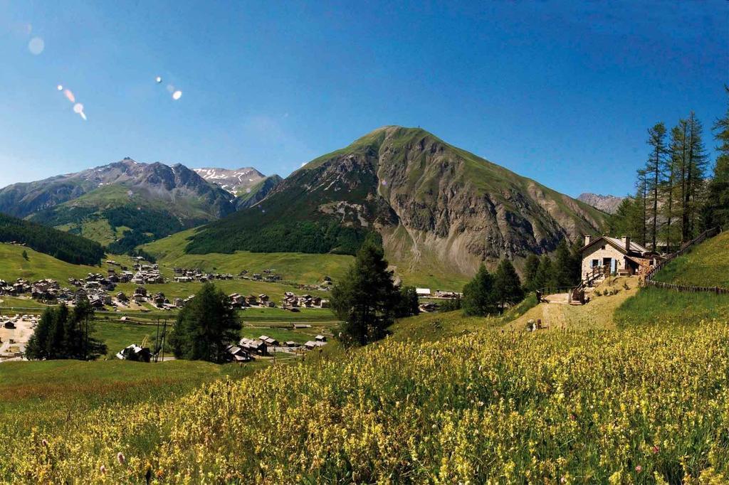 Appartamenti Nevegall Livigno Exterior photo